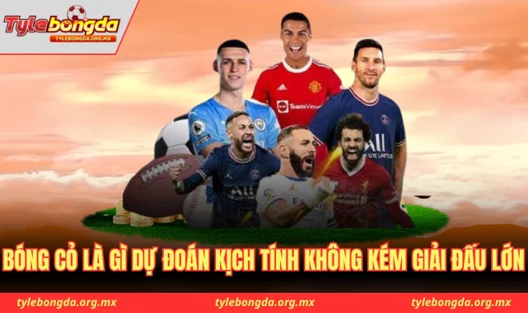Bóng cỏ là gì