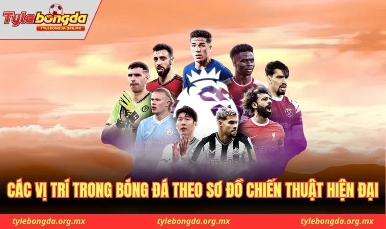 Các vị trí trong bóng đá