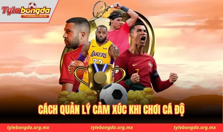 Cách quản lý cảm xúc khi chơi cá độ