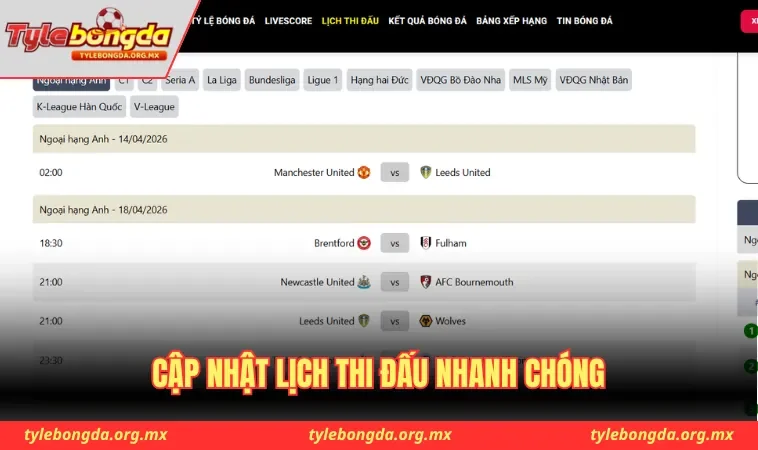 Tylebongda.org.mx - Cập nhật lịch thi đấu nhanh chóng