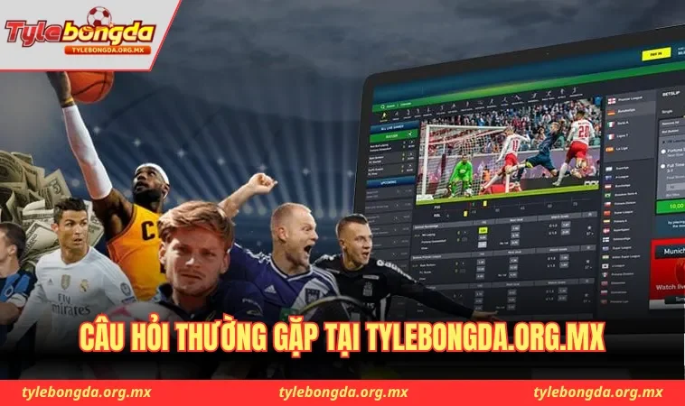 Câu hỏi thường gặp tại trang tylebongda.org.mx