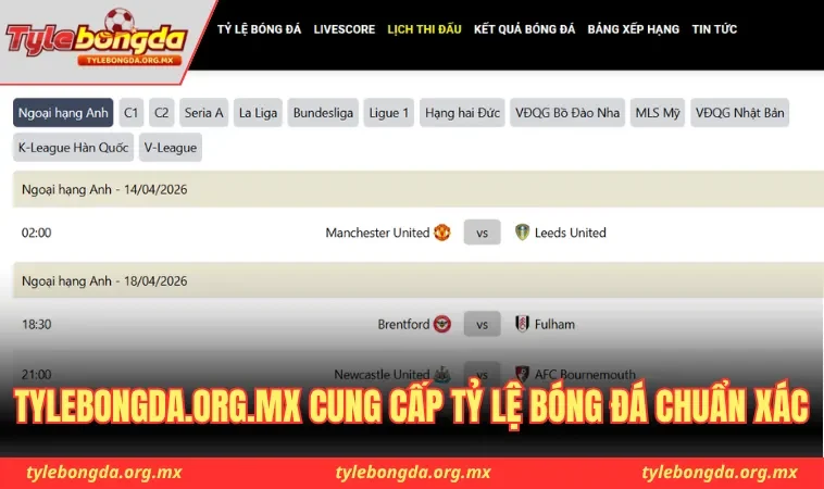 Tylebongda.org.mx là trang cung cấp tỷ lệ bóng đá chuẩn xác