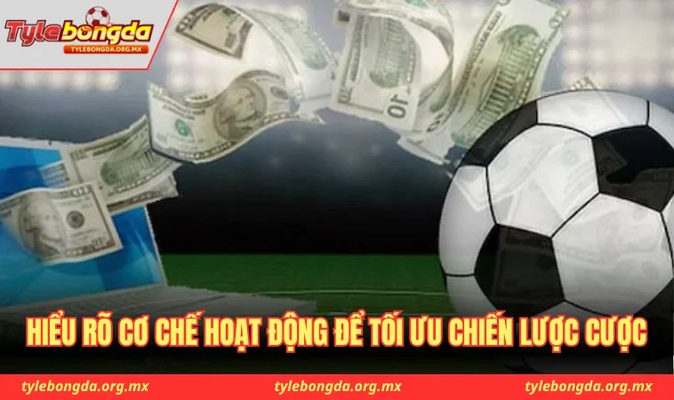 Hiểu rõ cơ chế hoạt động để tối ưu chiến lược cược