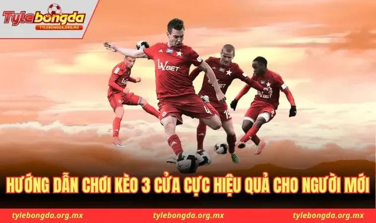 Hướng dẫn chơi kèo 3 cửa cực hiệu quả cho người mới