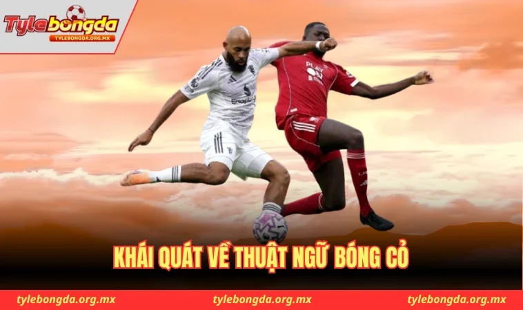 Khái quát về thuật ngữ bóng cỏ