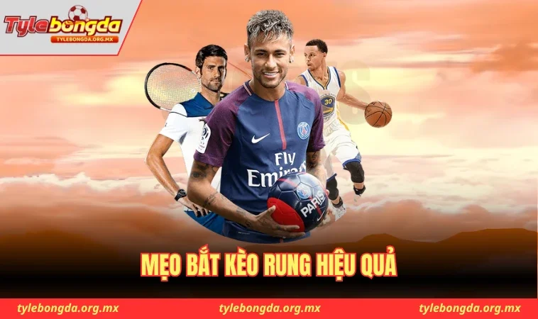 Mẹo bắt kèo rung hiệu quả