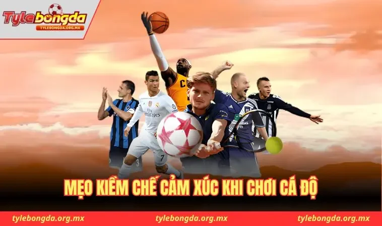 Mẹo kiềm chế cảm xúc khi chơi cá độ