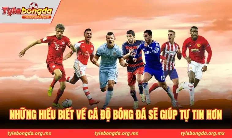 Những hiểu biết về cá độ bóng đá sẽ giúp bạn tự tin hơn
