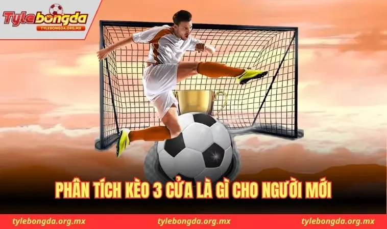 Phân tích kèo 3 cửa là gì cho người mới
