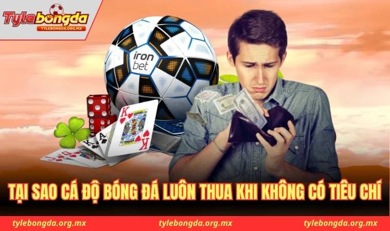 Tại sao cá độ bóng đá luôn thua khi không có tiêu chí