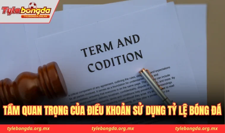 Tầm quan trọng của điều khoản sử dụng Tỷ Lệ Bóng Đá