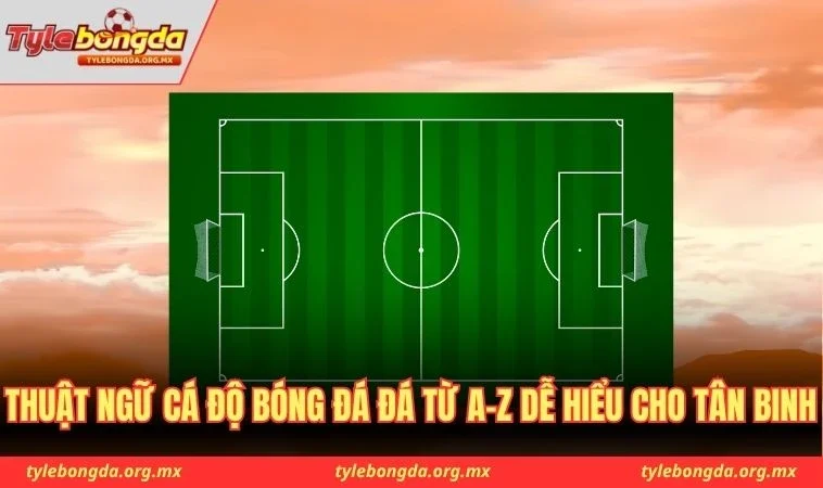 Thuật ngữ cá độ bóng đá