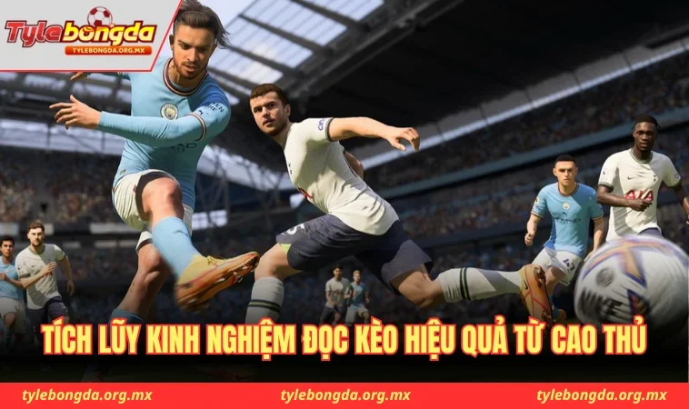 Tích lũy kinh nghiệm đọc kèo hiệu quả từ cao thủ